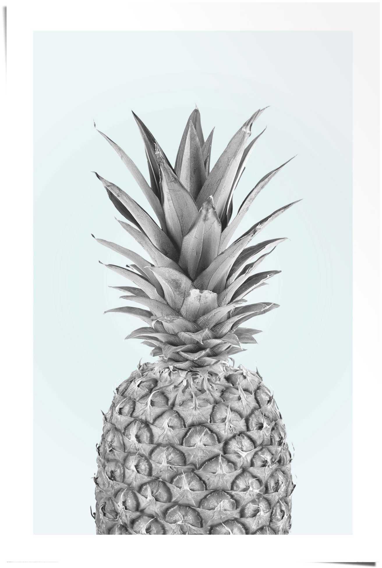 Reinders! Poster Ananas