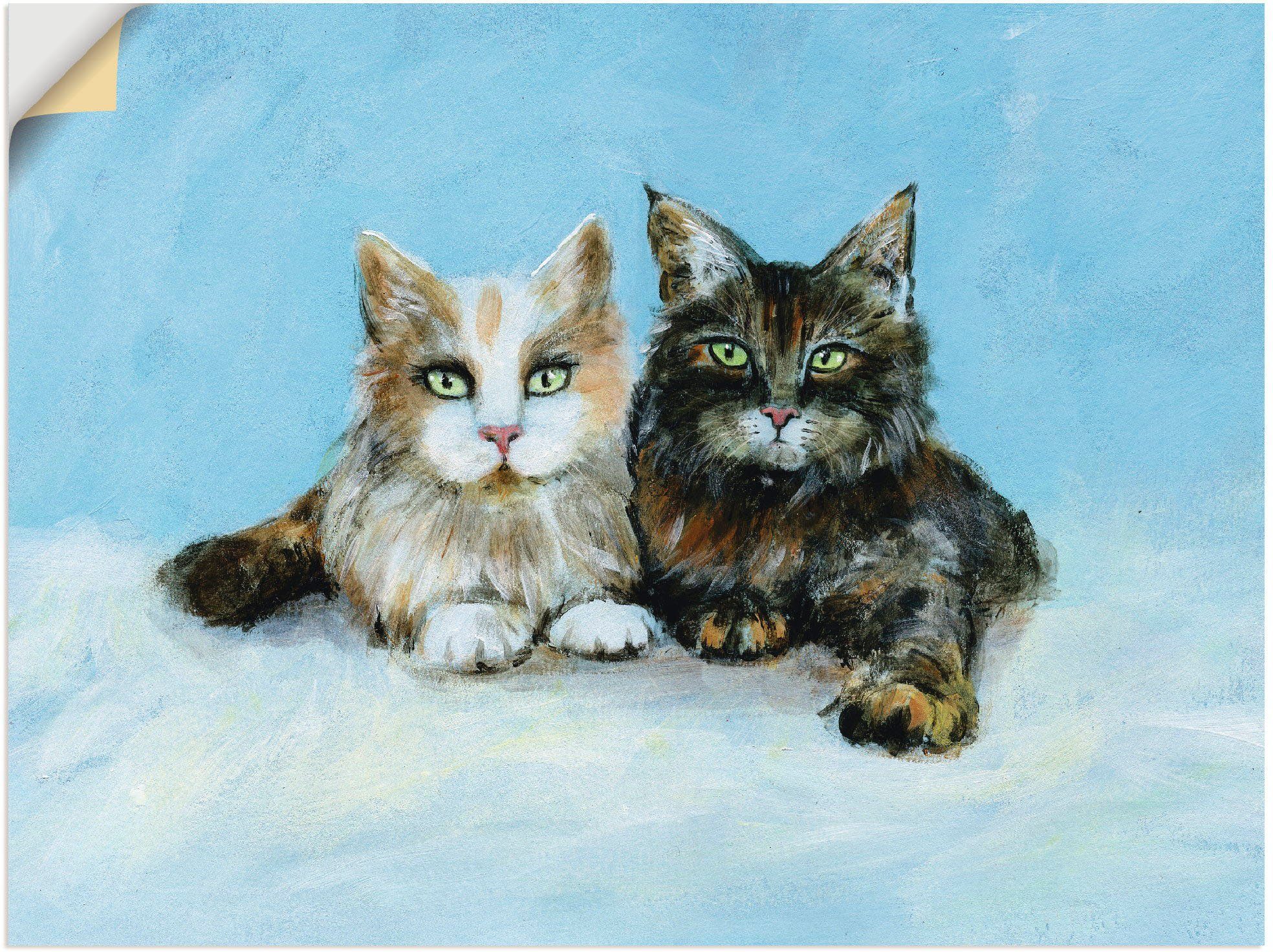 Artland artprint Junge Maine-Coon Katzen