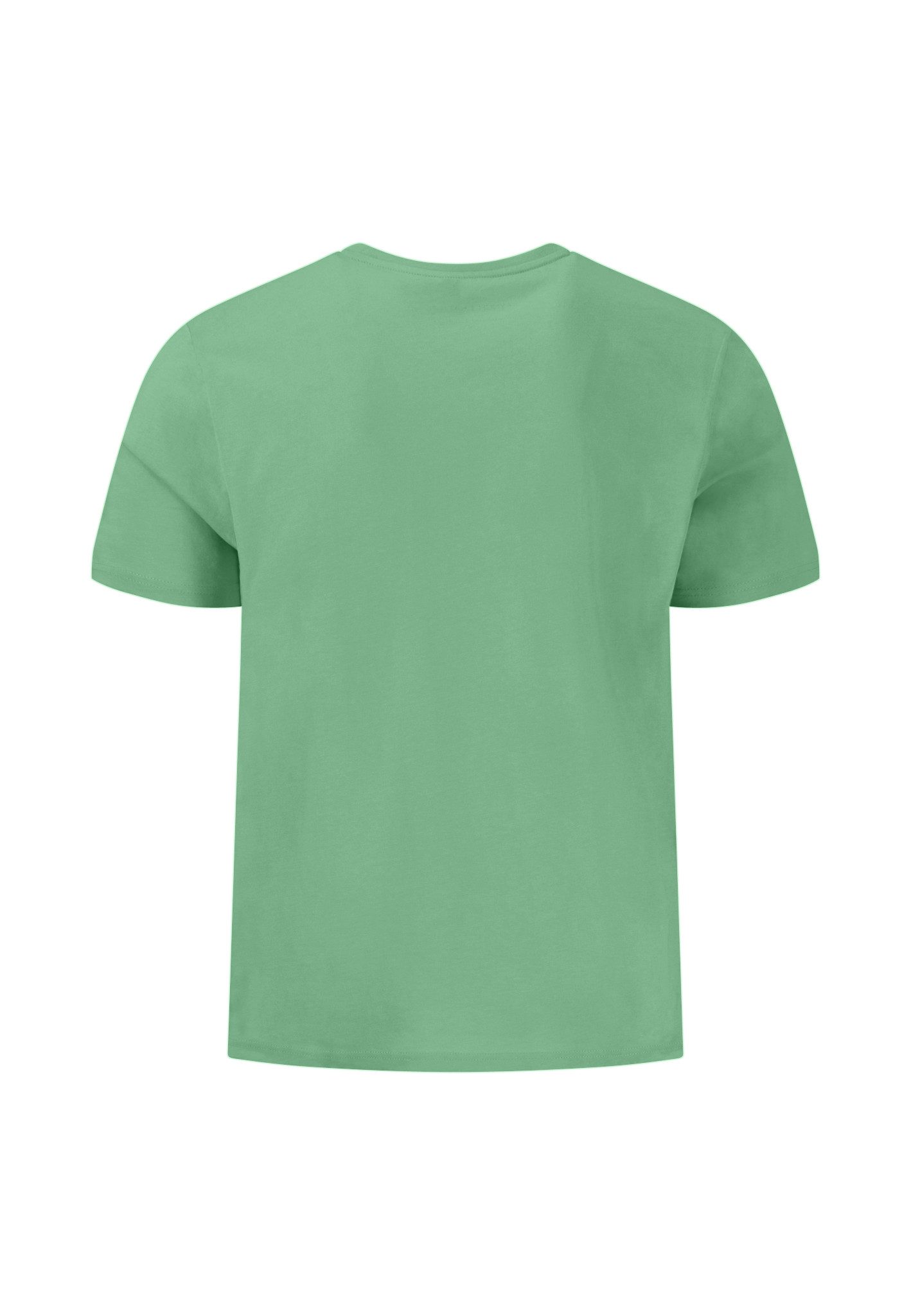 FYNCH-HATTON T-shirt unikleur