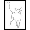boenninghoff artprint met lijst ingelijste afbeelding kat (1 stuk) wit