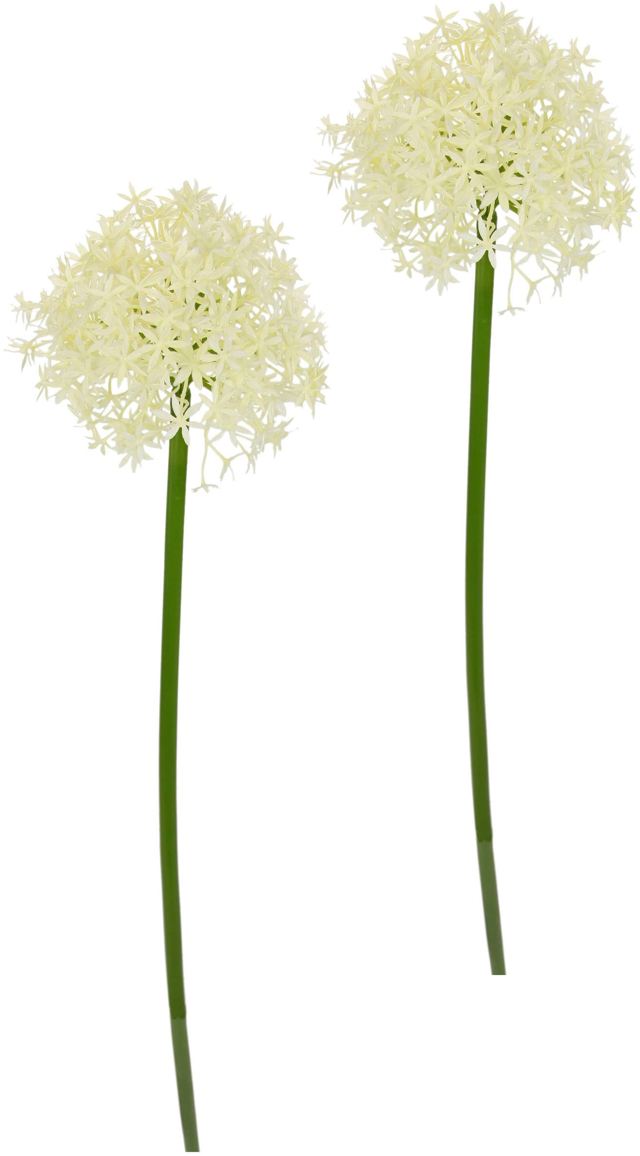 I.GE.A. Kunstbloem Allium Zierlauch