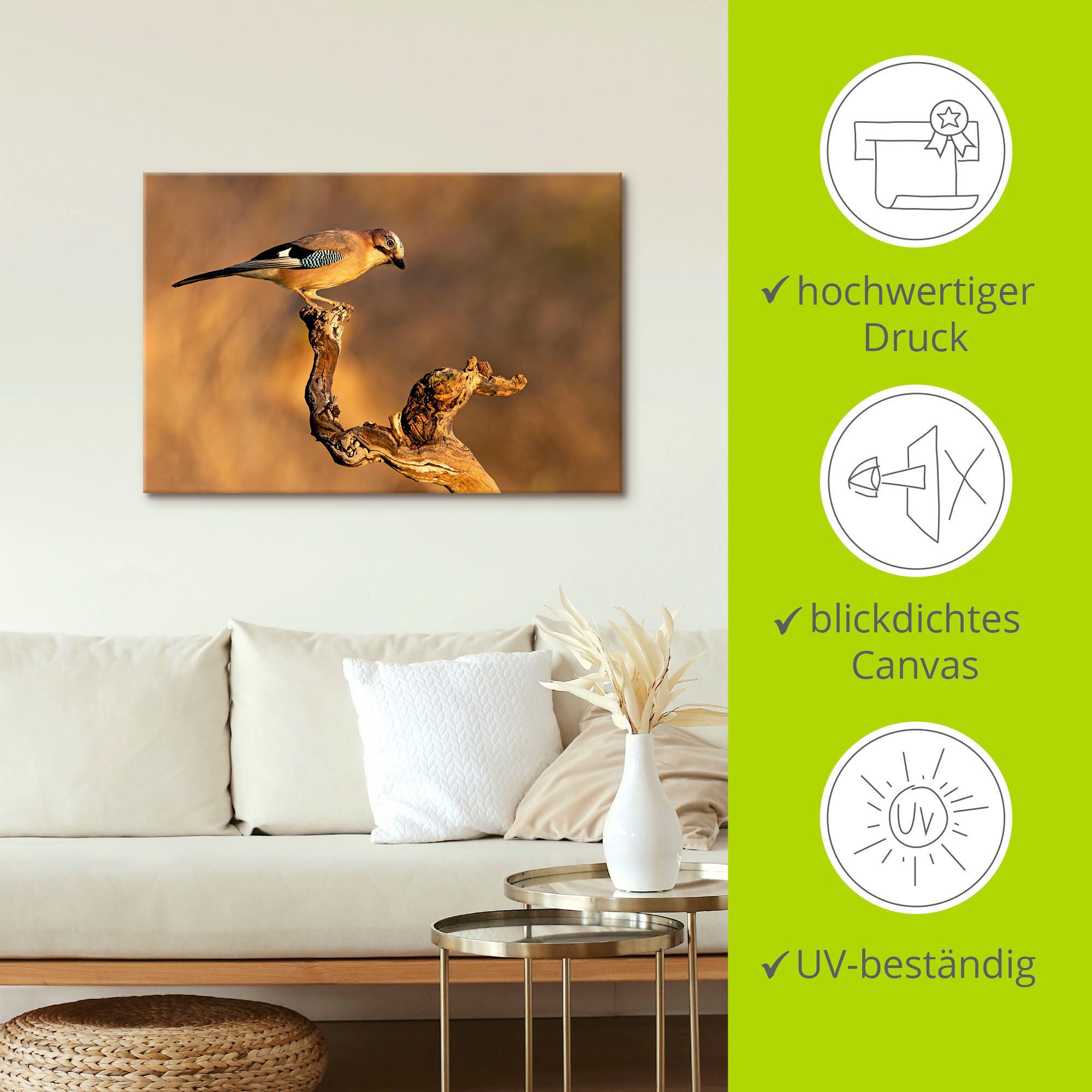 Artland Artprint Vlaamse gaai als artprint op linnen, poster in verschillende formaten maten