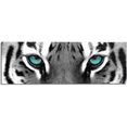 reinders! artprint siberische tijger zwart