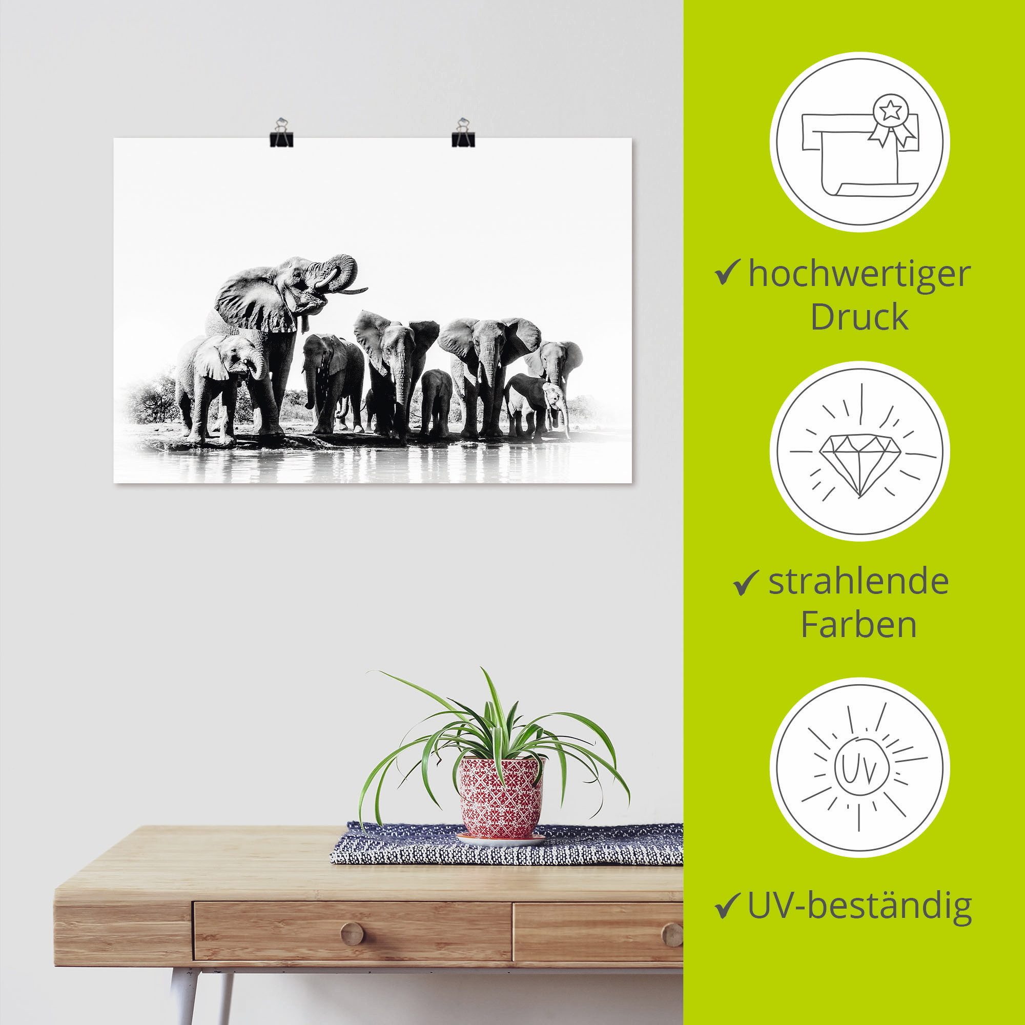 Artland Poster Olifanten bij de waterpoel als artprint van aluminium, artprint op linnen, muursticker of poster in verschillende maten