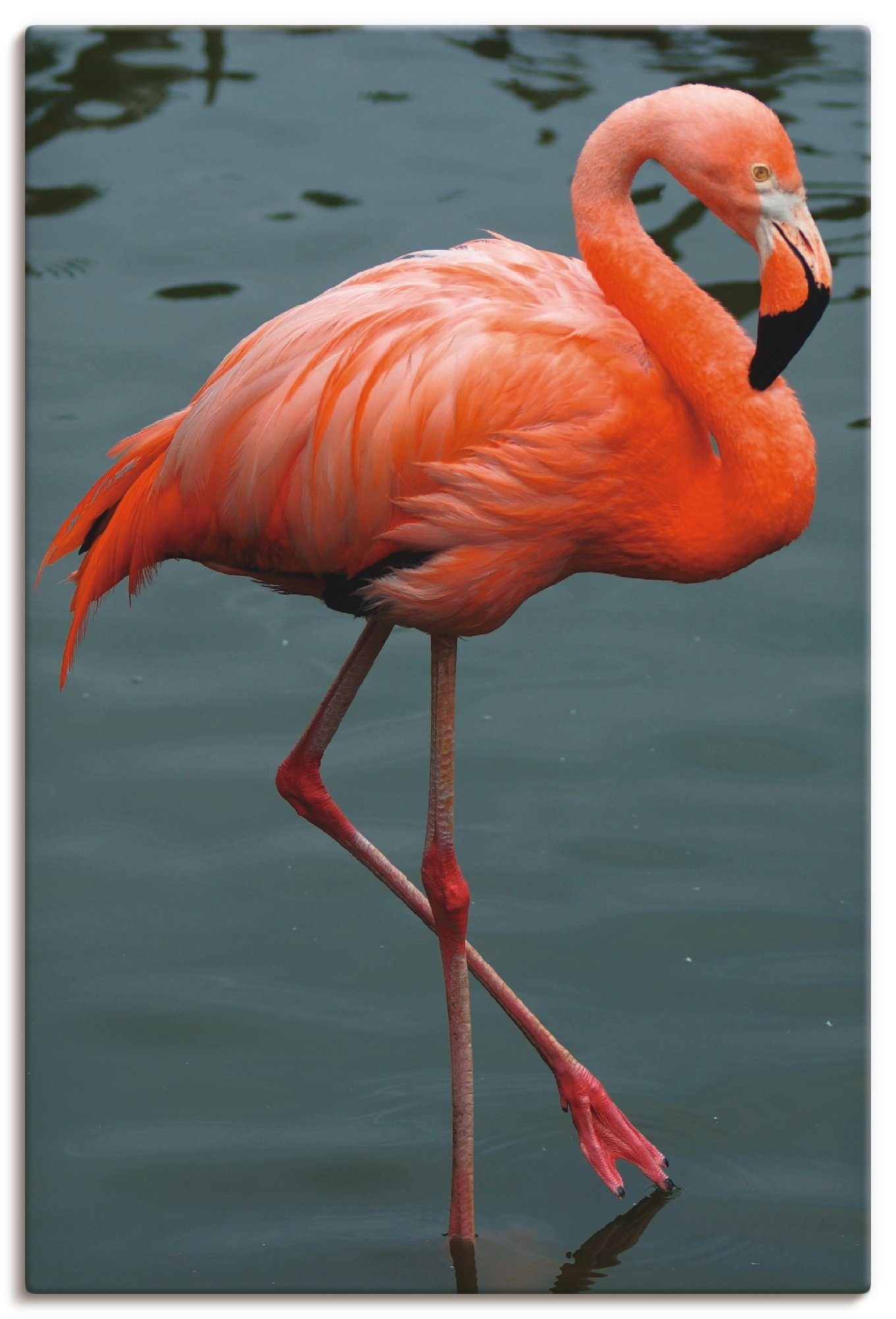 Artland Artprint Flamingo Balans in vele afmetingen & productsoorten -artprint op linnen, poster, muursticker / wandfolie ook geschikt voor de badkamer (1 stuk)