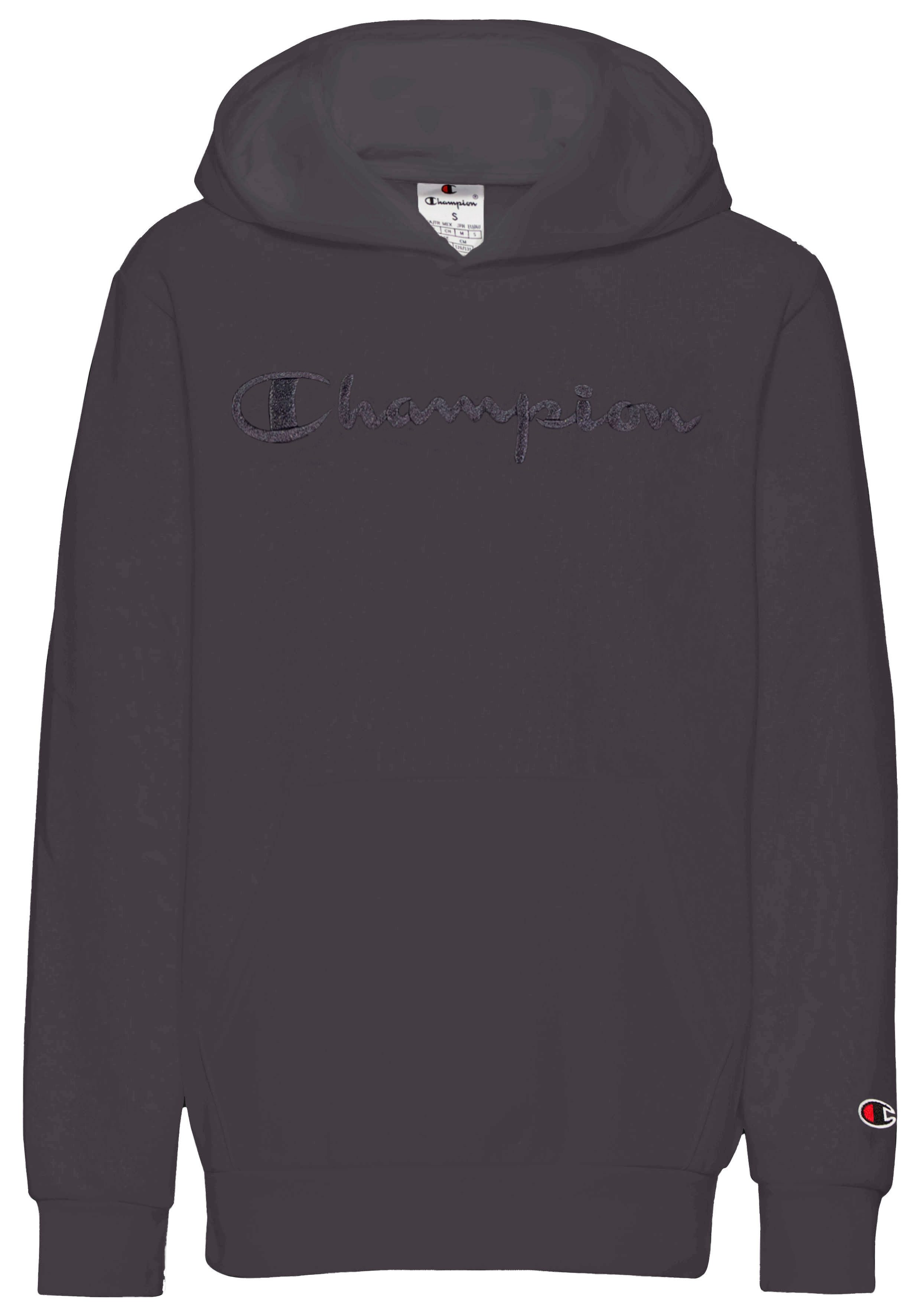 Champion Hoodie ICONS Hoodie Large Tonal Logo