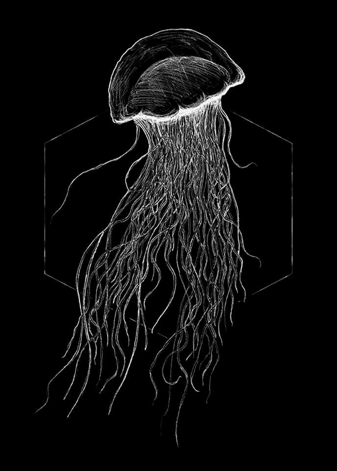 Komar Poster Jellyfish black Hoogte: 70 cm