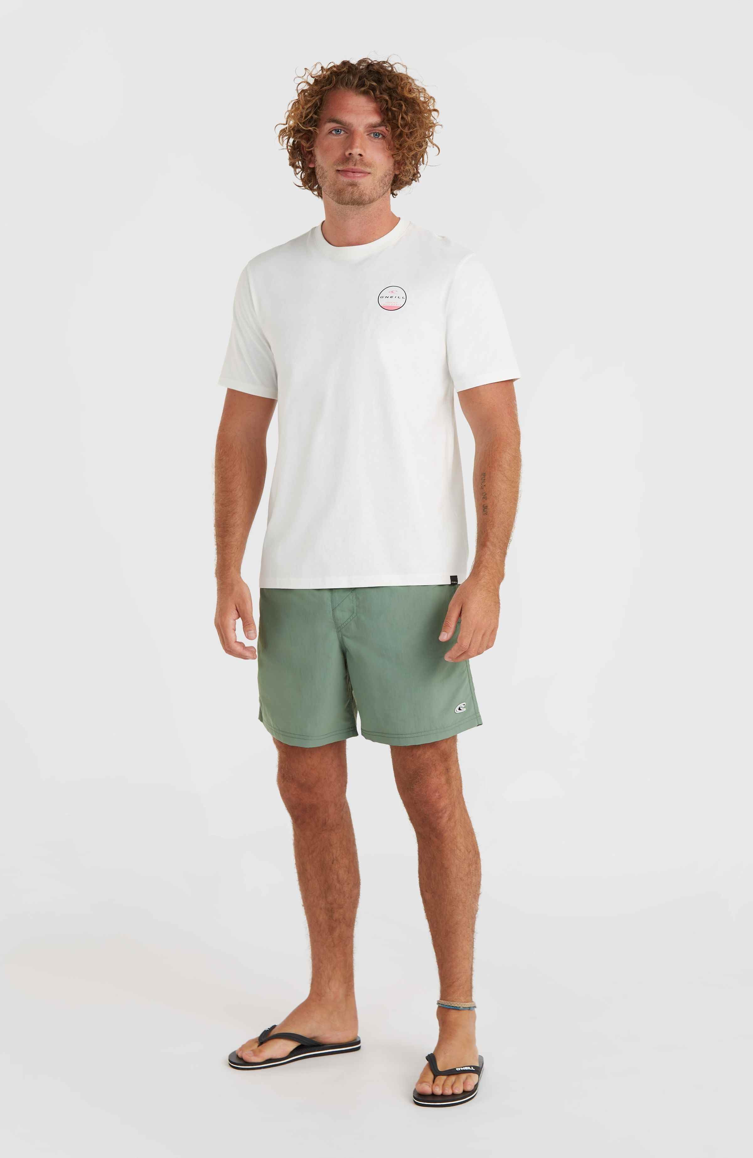 O'Neill Zwemshort VERT 16'' SWIM SHORTS