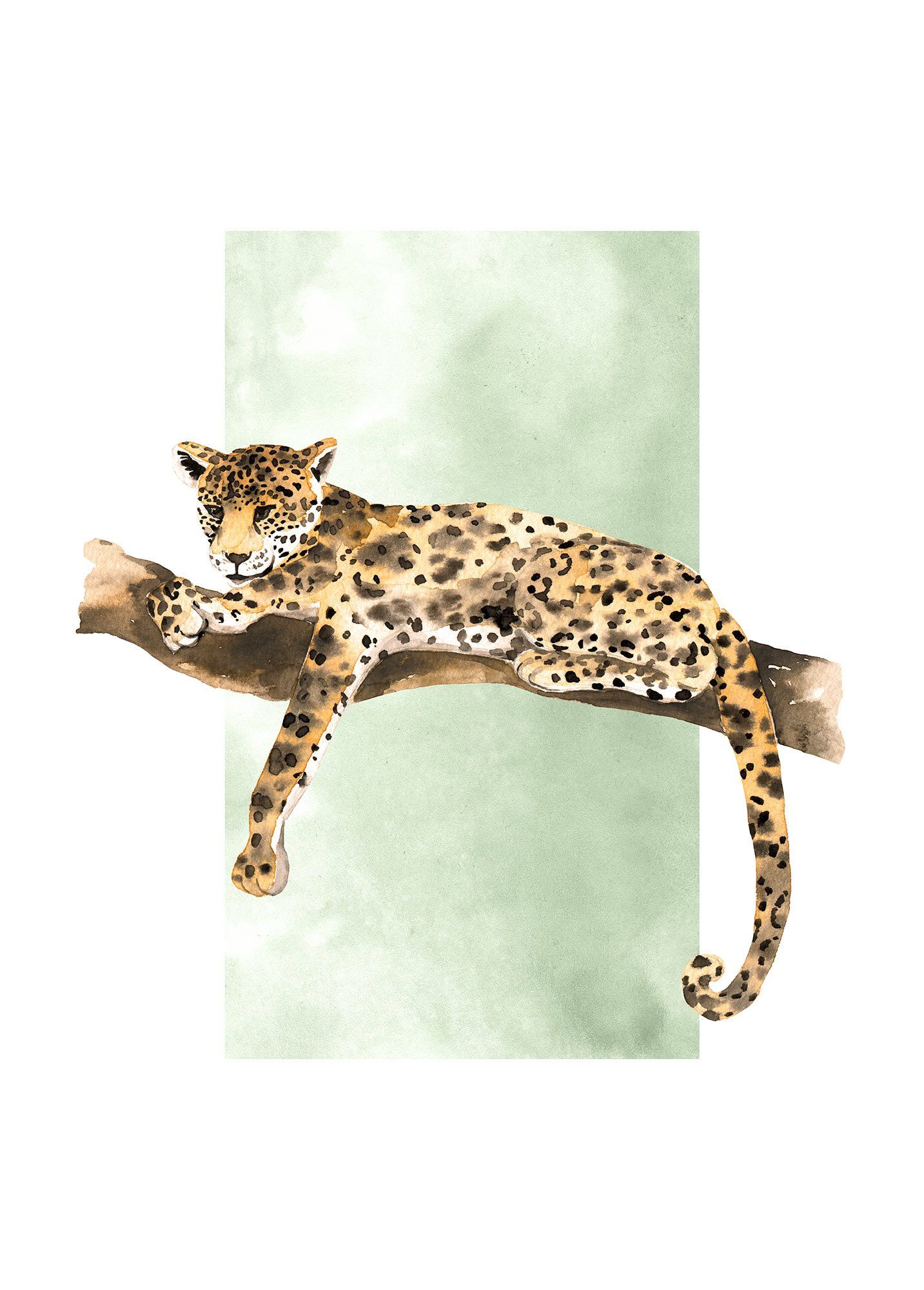 Komar Poster Lazy Leopard