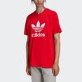 adidas originals t-shirt adicolor classics trefoil rood