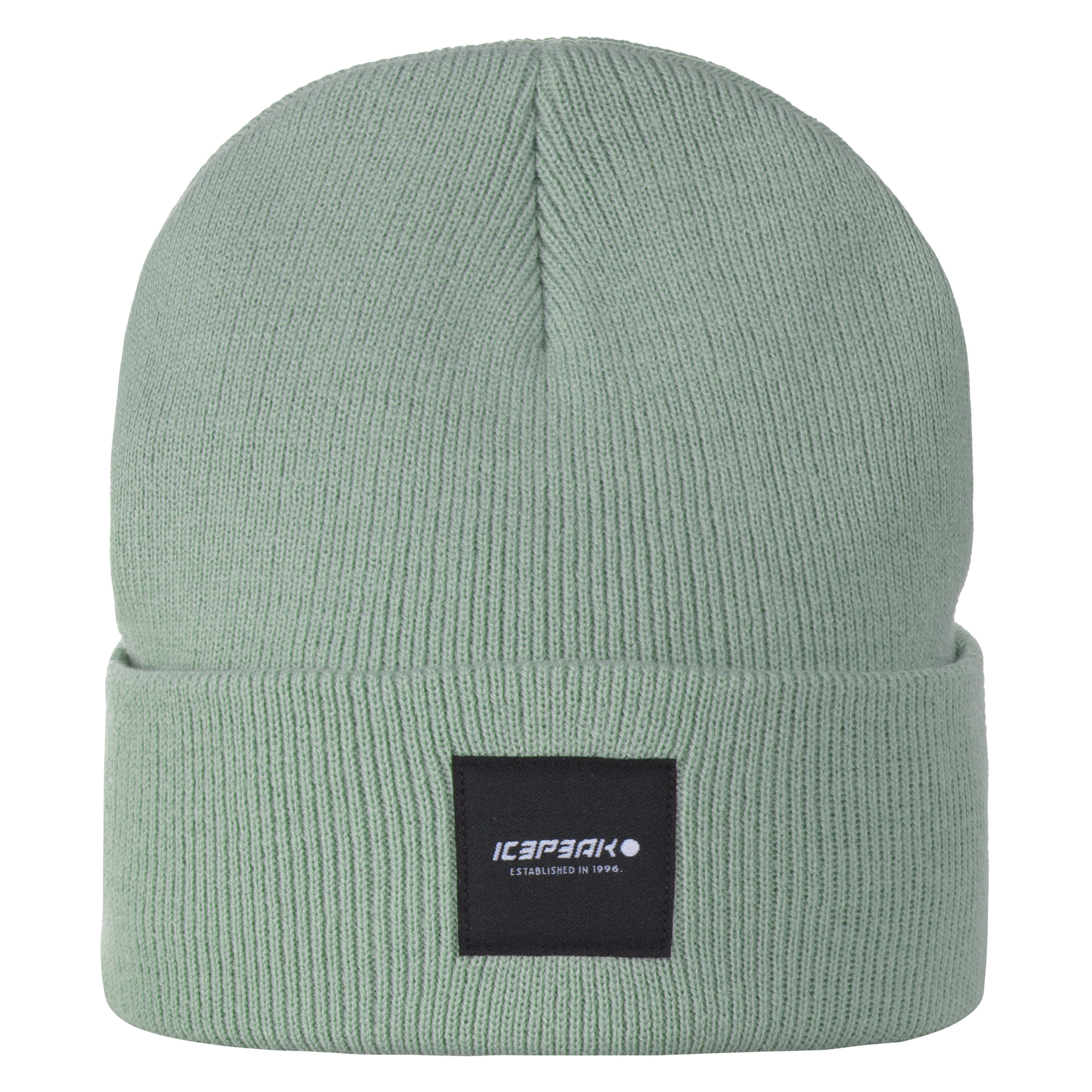 Icepeak Beanie HARCOURT