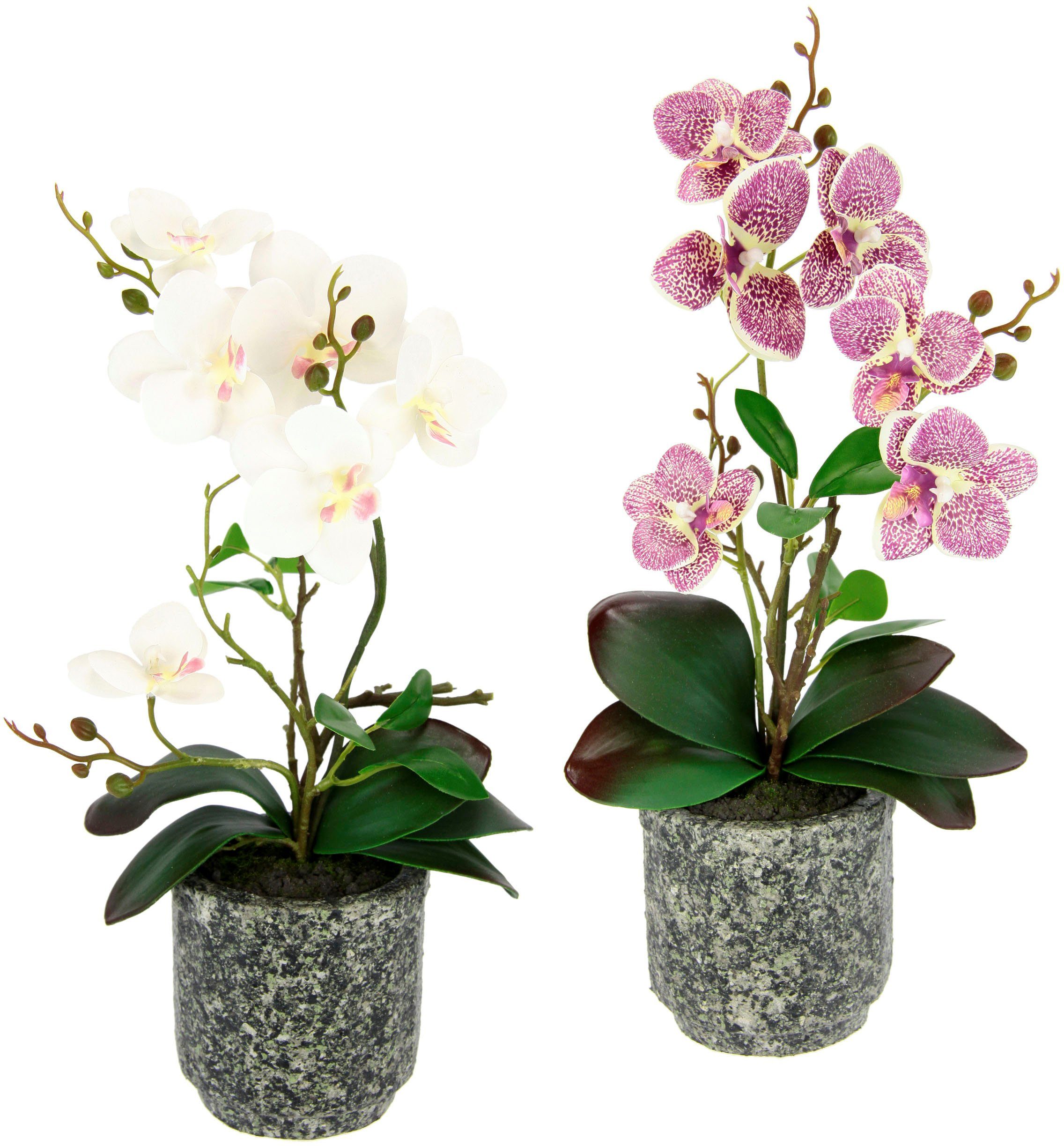 I.GE.A. Kunstplant Orchidee Met bladeren en luchtwortels, in een pot van keramiek, set van 2