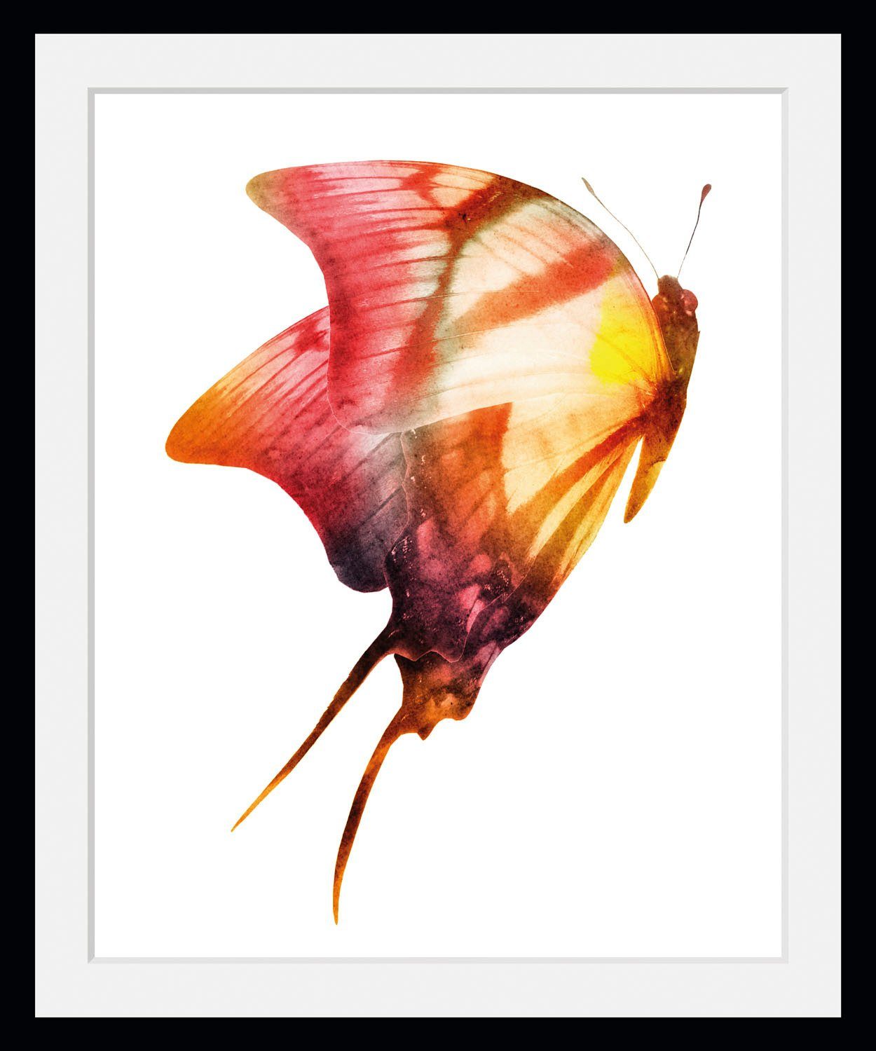 queence Wanddecoratie Darleen HD premium posterdruk incl. houten lijst (1 stuk)