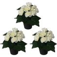 creativ green kunstplant begonia set van 3 (3 stuks) wit