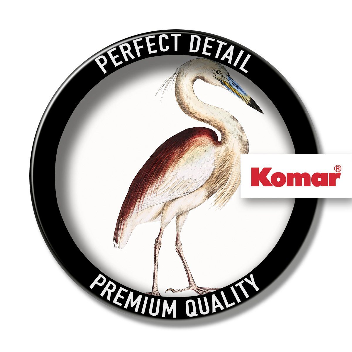 Komar Artprint op linnen Uncommon Bird - Afmeting 40 x 40 cm (1 stuk)