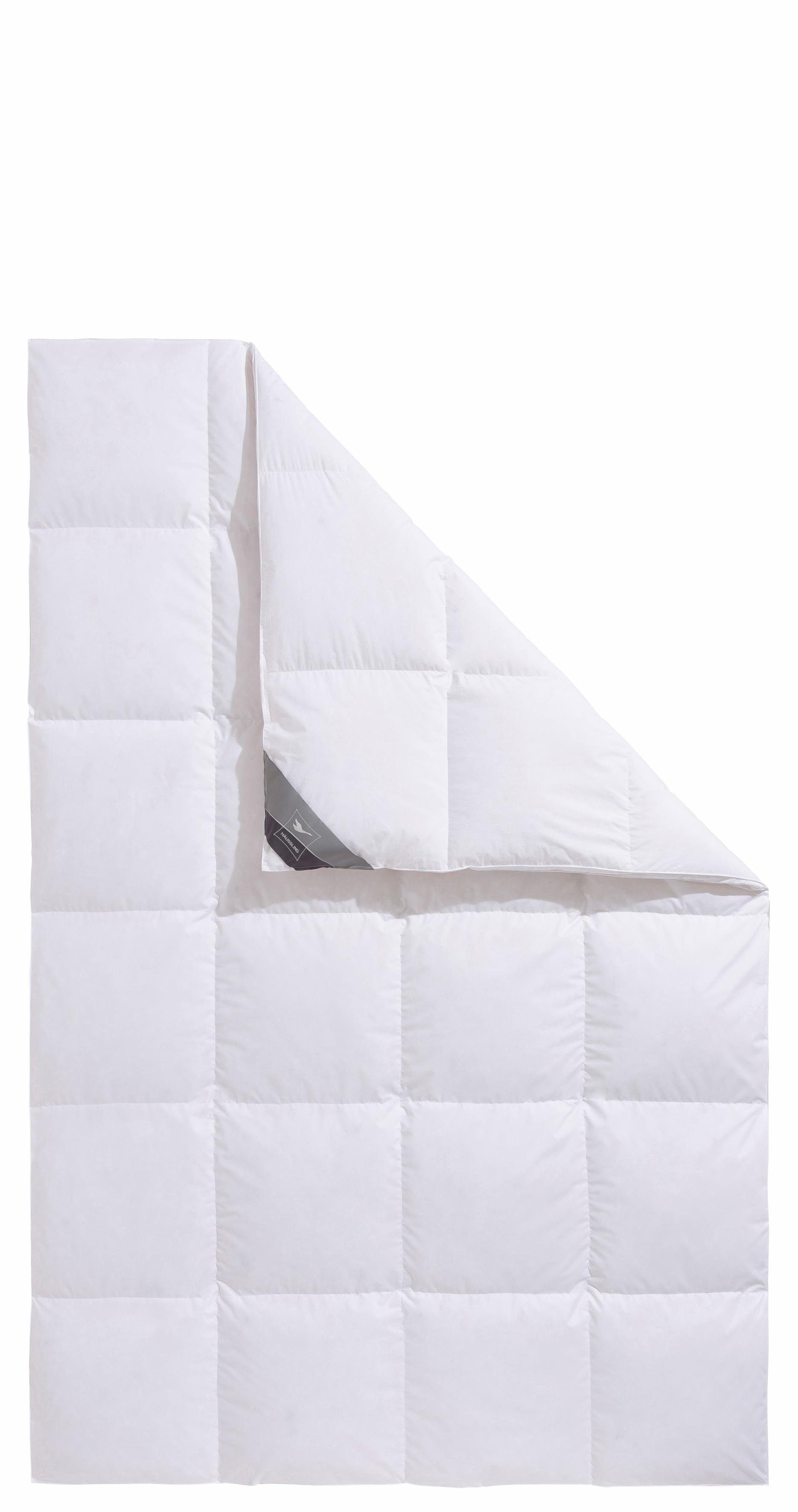 Haeussling Donzen dekbed + hoofdkussen Knuffeldroom (voordeelset)