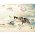 queence artprint op acrylglas vliegende giraf multicolor