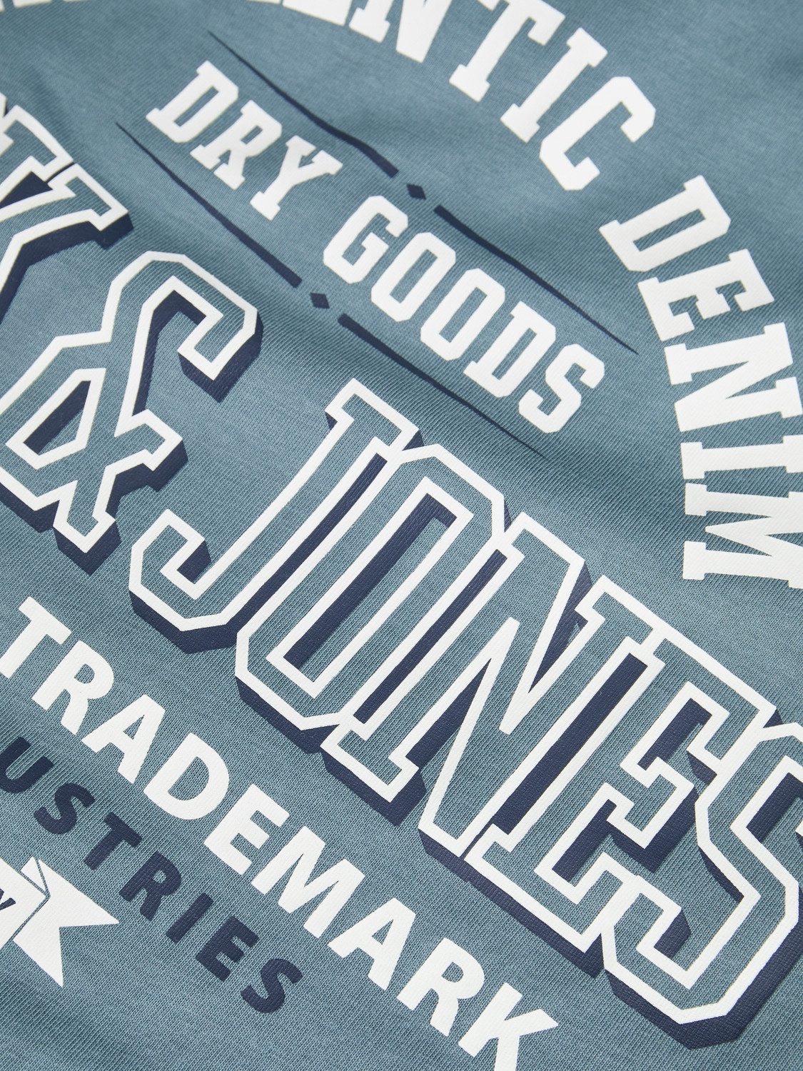 Jack & Jones Shirt met ronde hals JJELOGO TEE SS O-NECK 2 COL AW24 SN