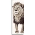 reinders! artprint leeuw koning van de jungle - roofdier - krachtig (1 stuk) bruin