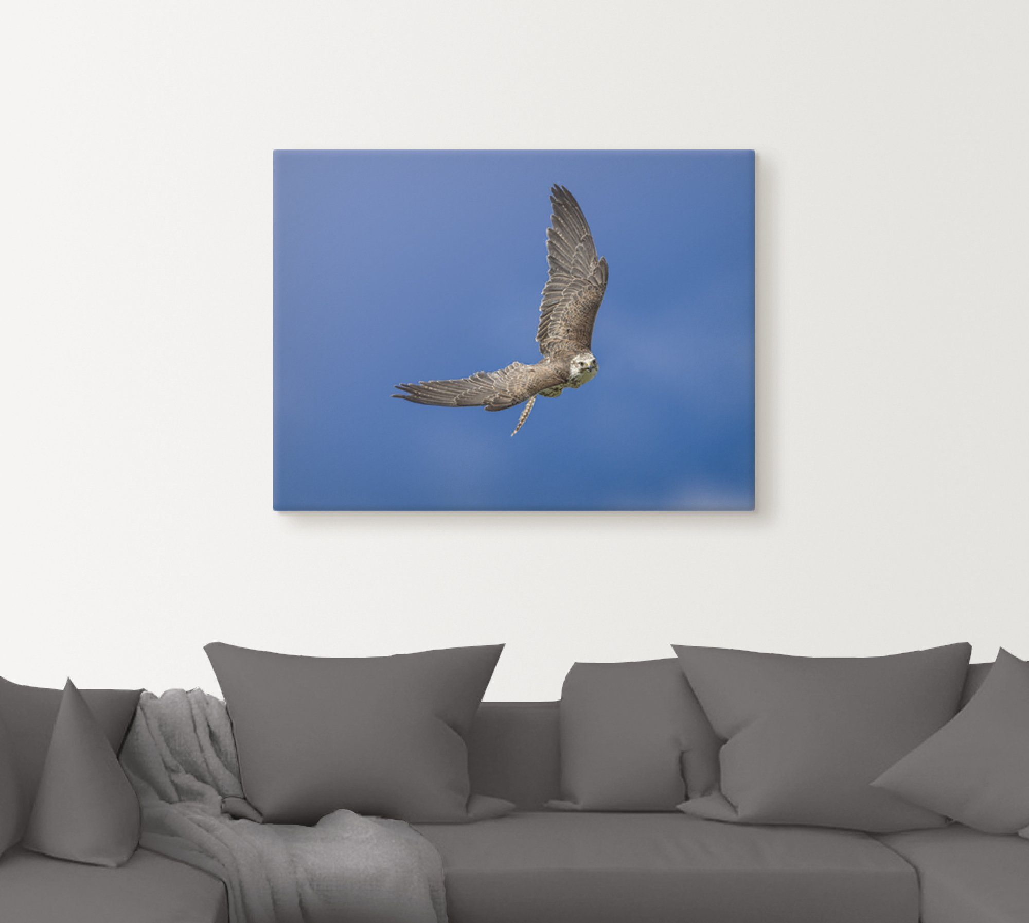 Artland Artprint De valk als artprint op linnen, poster in verschillende formaten maten