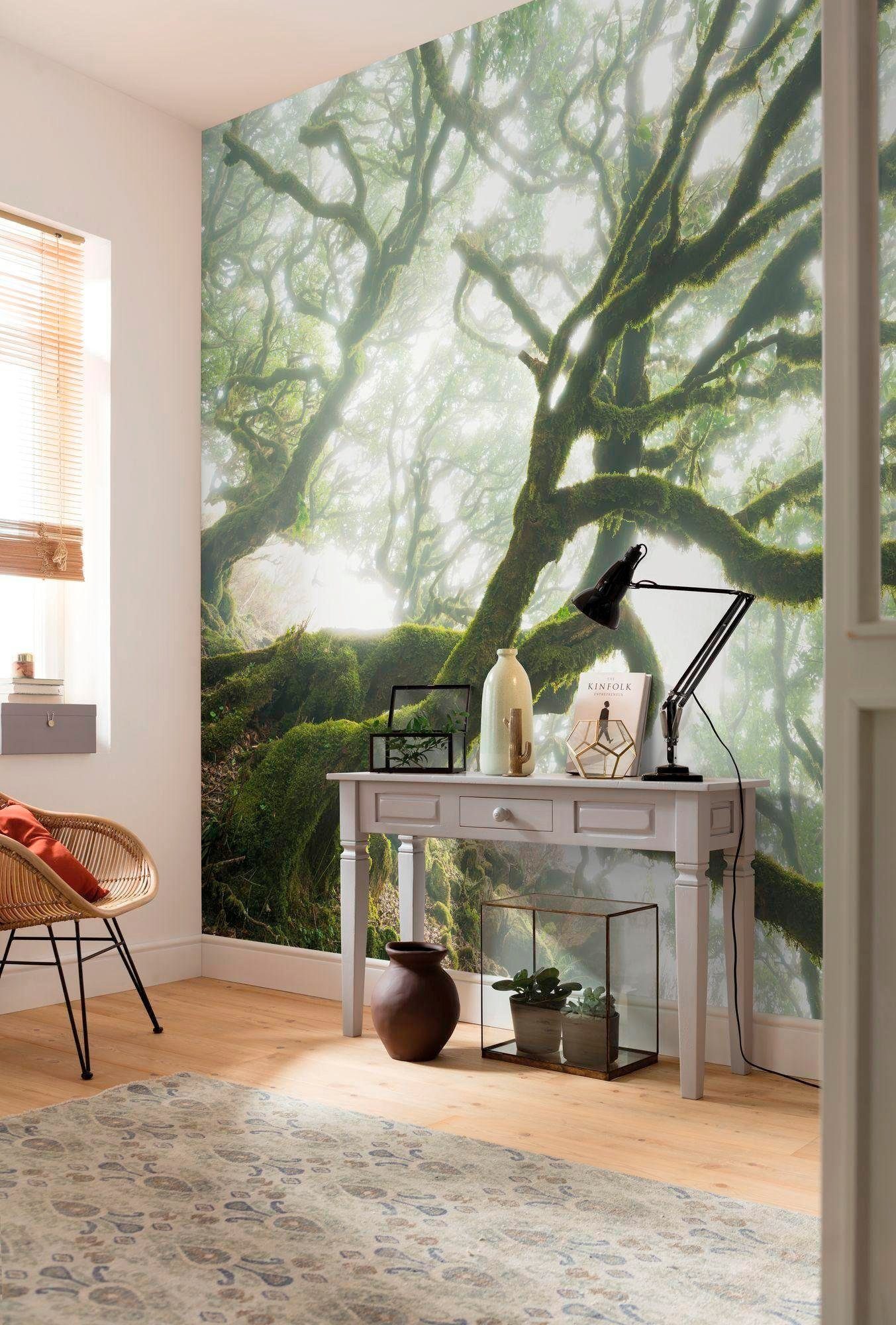 Komar Vliesbehang Digitale print vlies - The Forgotten Forest - Afmeting 400 x 250 cm (1 stuk)