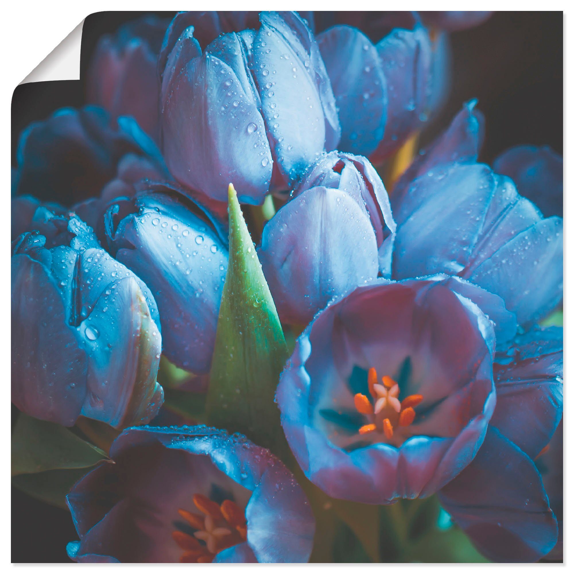 Artland Artprint Tulpen (1 stuk)