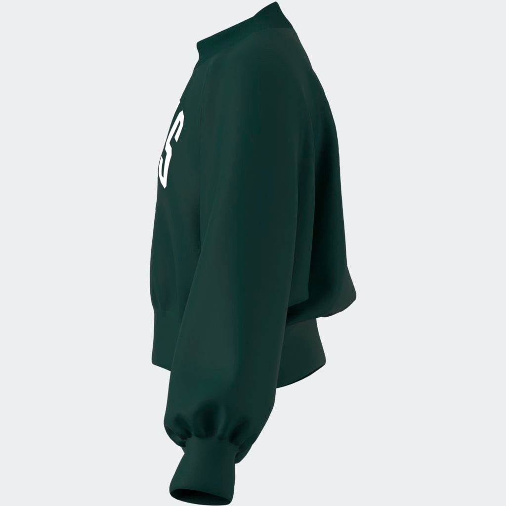 adidas Sportswear Sweatshirt JG CLGT FT SWT