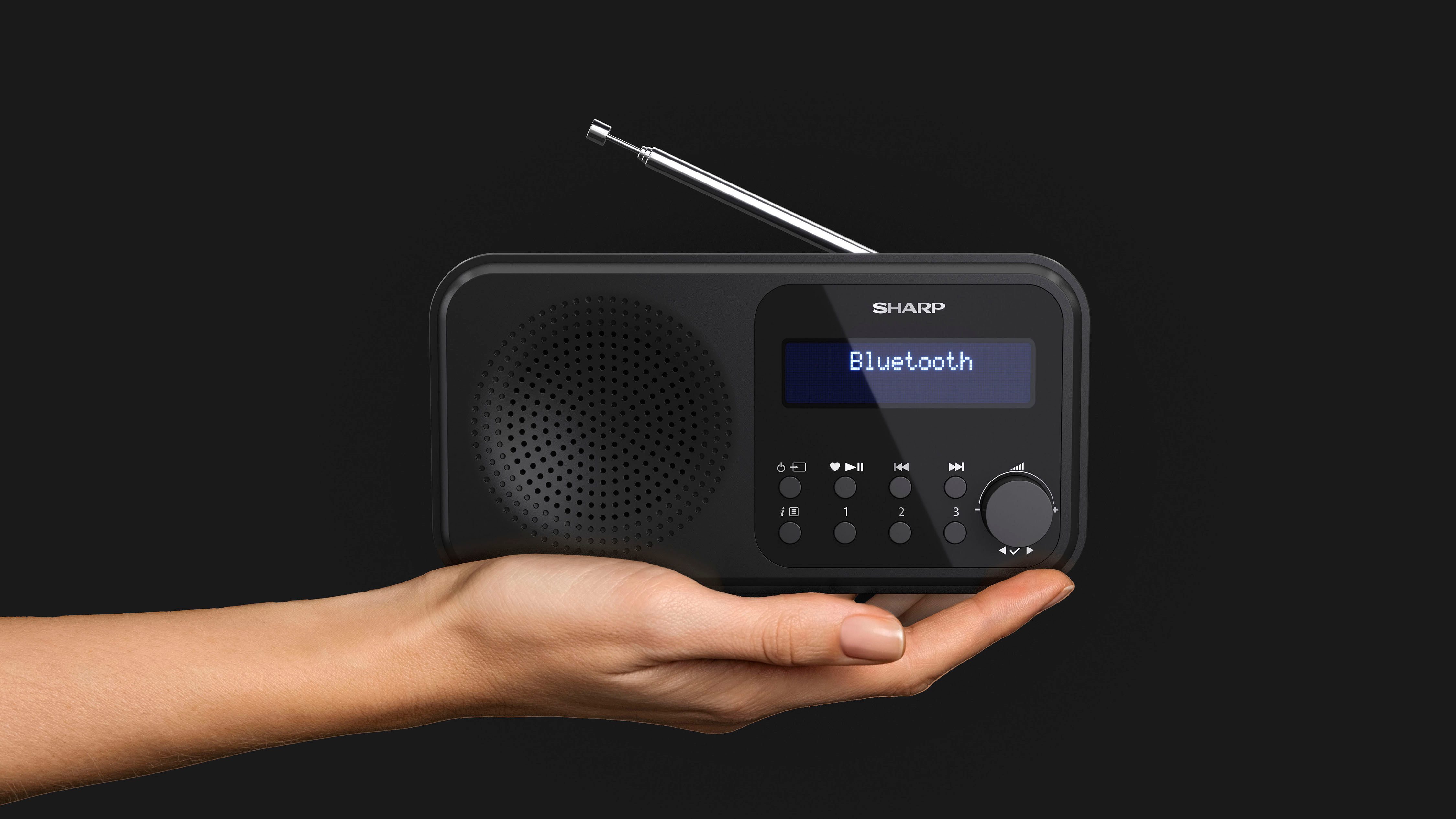 Sharp Radio DR-P420