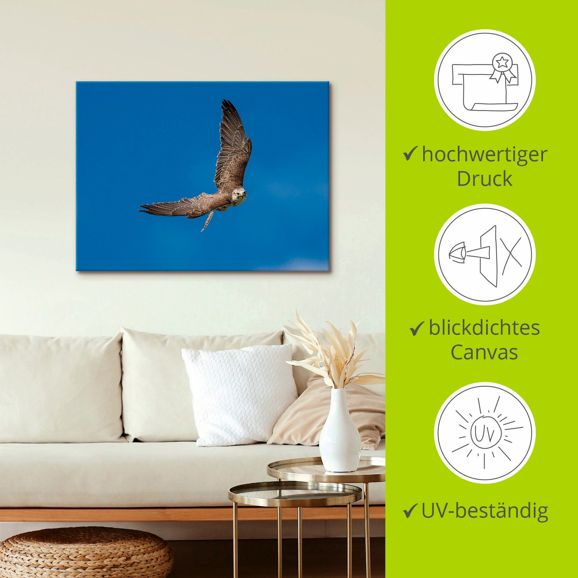 Artland Artprint De valk als artprint op linnen, poster in verschillende formaten maten