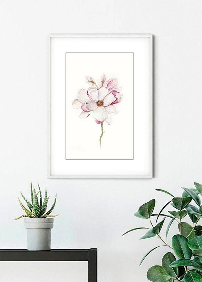 Komar Wanddecoratie Magnolia Blossom Wanddecoratie - zonder lijst (1 stuk)