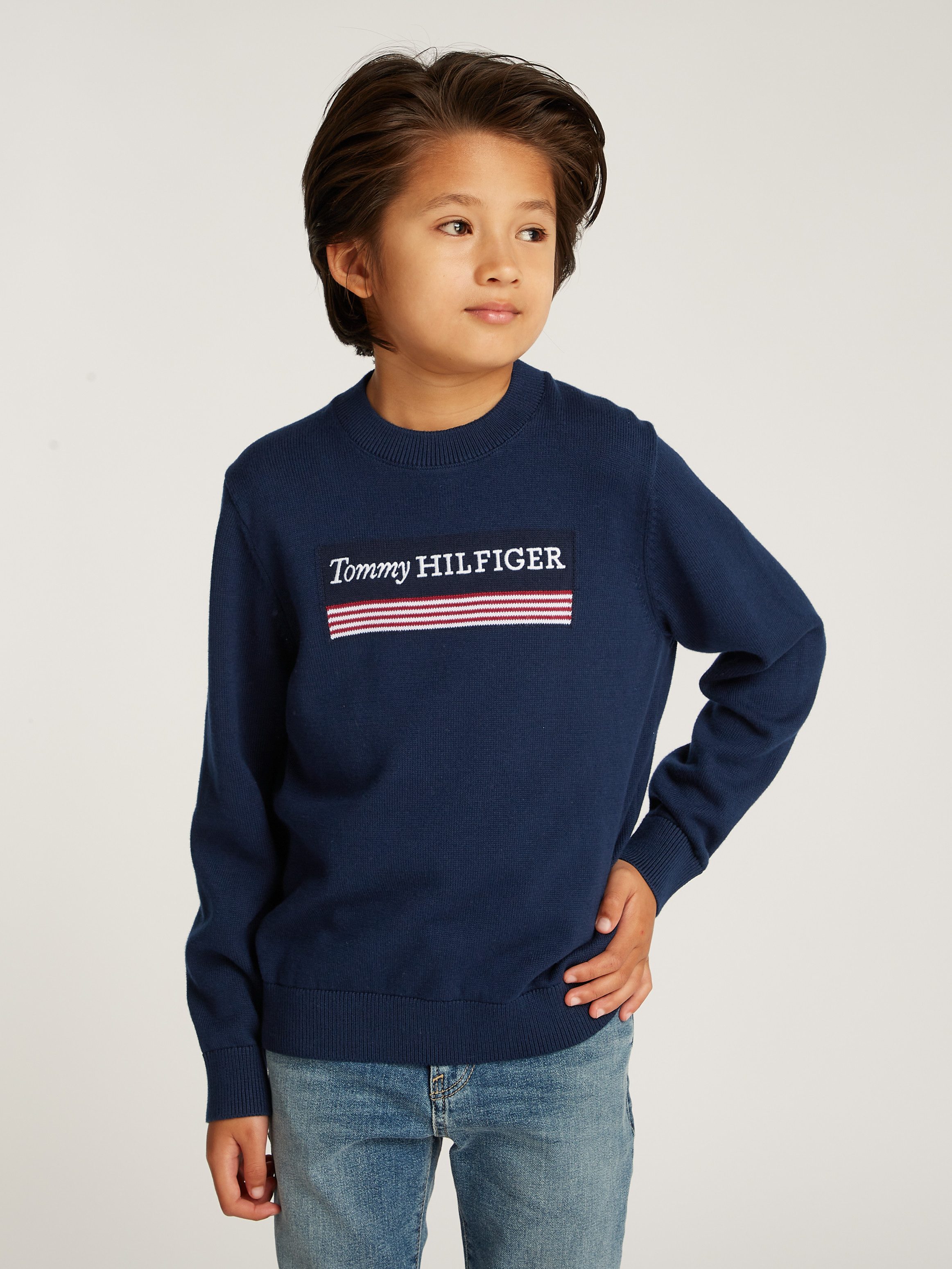 Tommy Hilfiger Gebreide trui MONOTYPE 1985 REG SWEATER