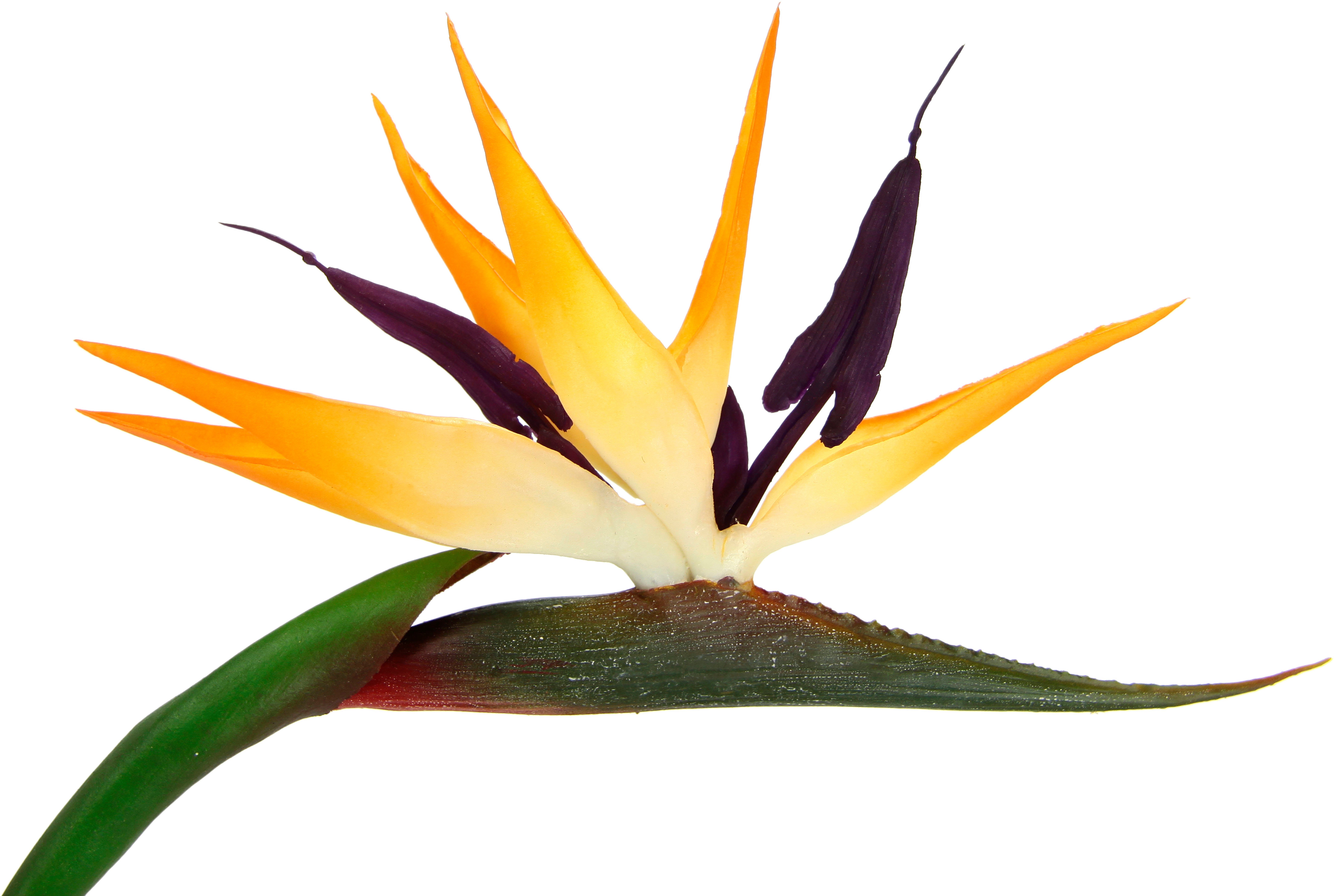 I.GE.A. Kunstbloem strelitzie paradijsvogelbloem exotische decoratieve tak (3 stuks)