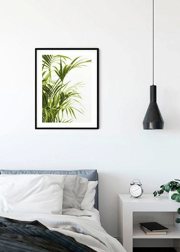 Komar Wanddecoratie Reed Leaves Wanddecoratie - zonder lijst (1 stuk)