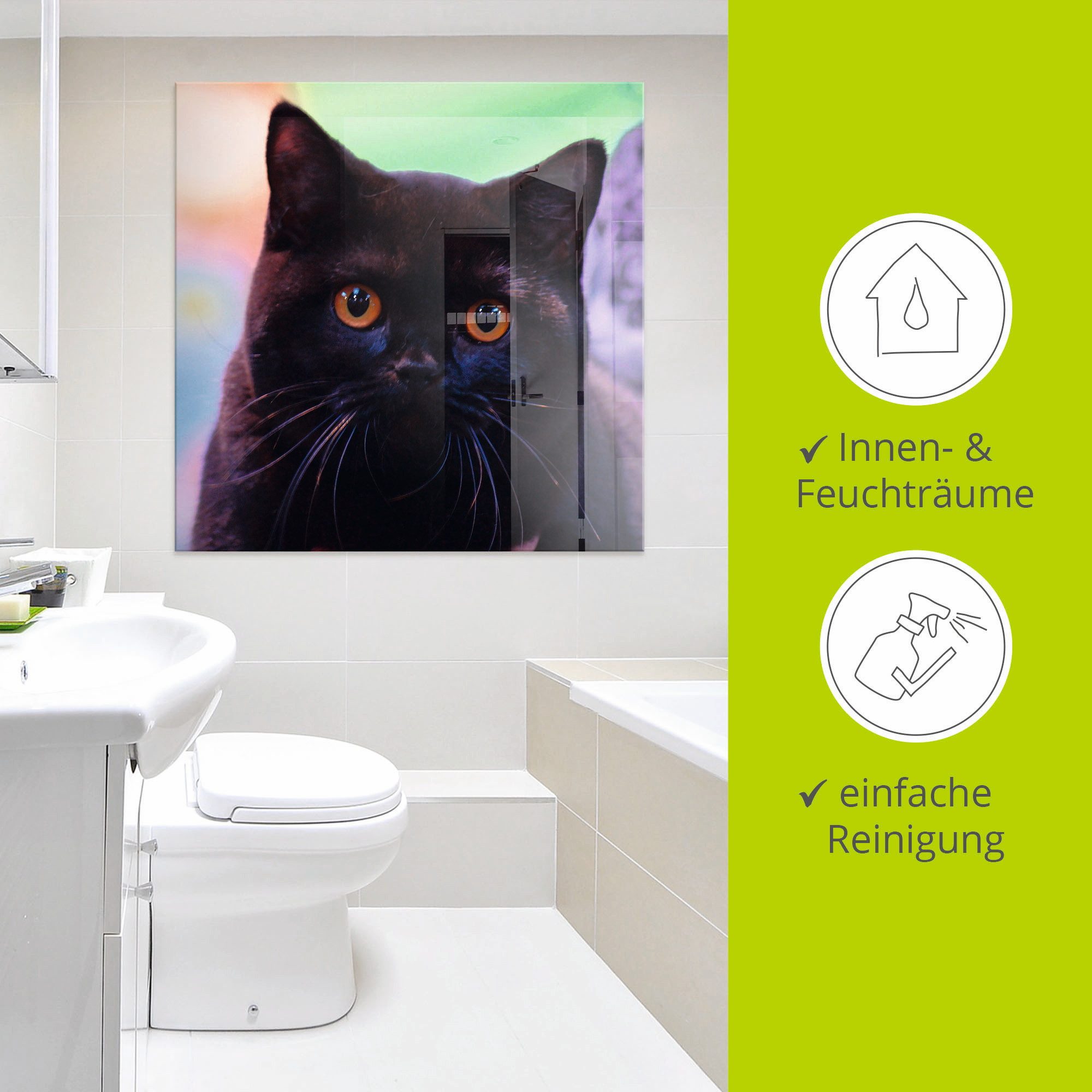 Artland Print op glas Zwarte Britse korthaar kat