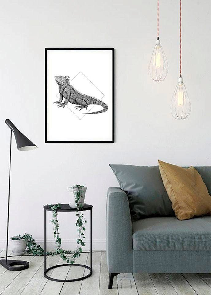 Komar Wanddecoratie Iguana white Wanddecoratie - zonder lijst (1 stuk)
