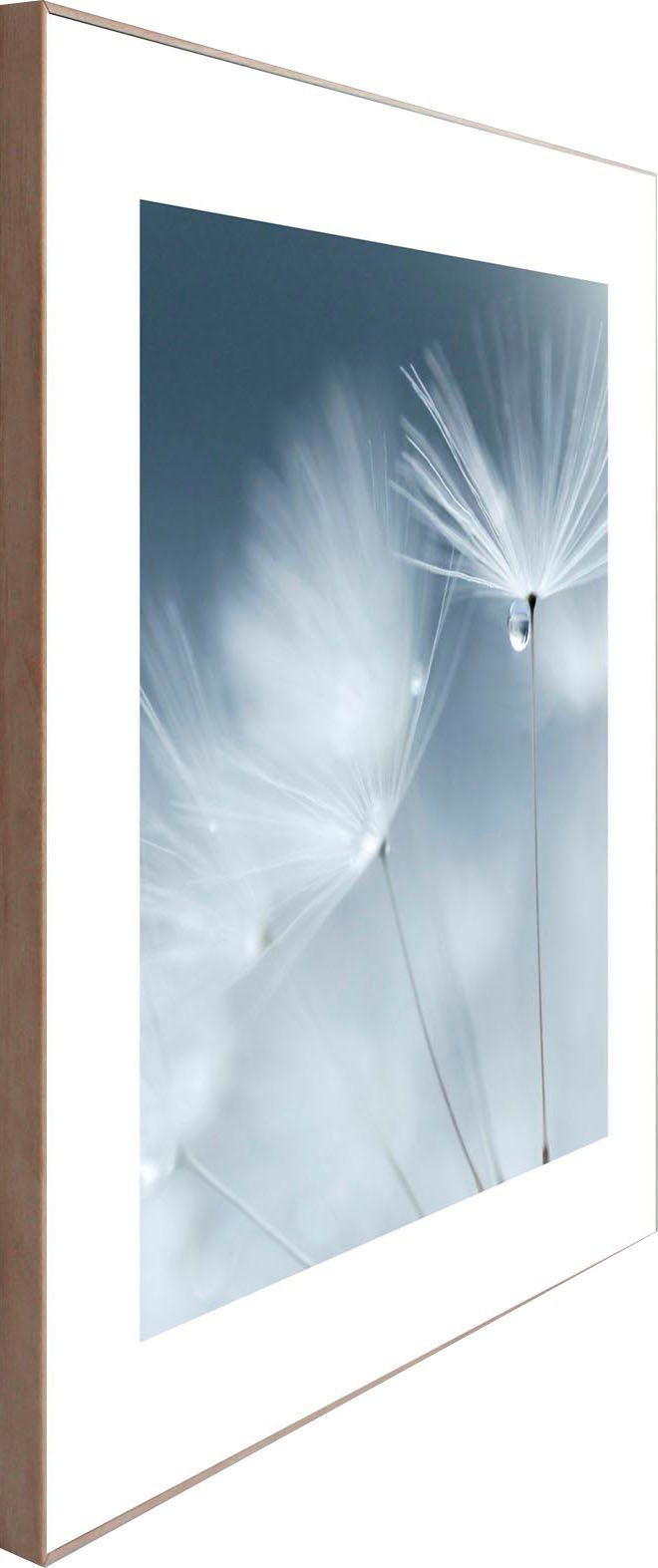 Reinders! Artprint Slim Frame Wood 50x50 Dewdrop Dandelion