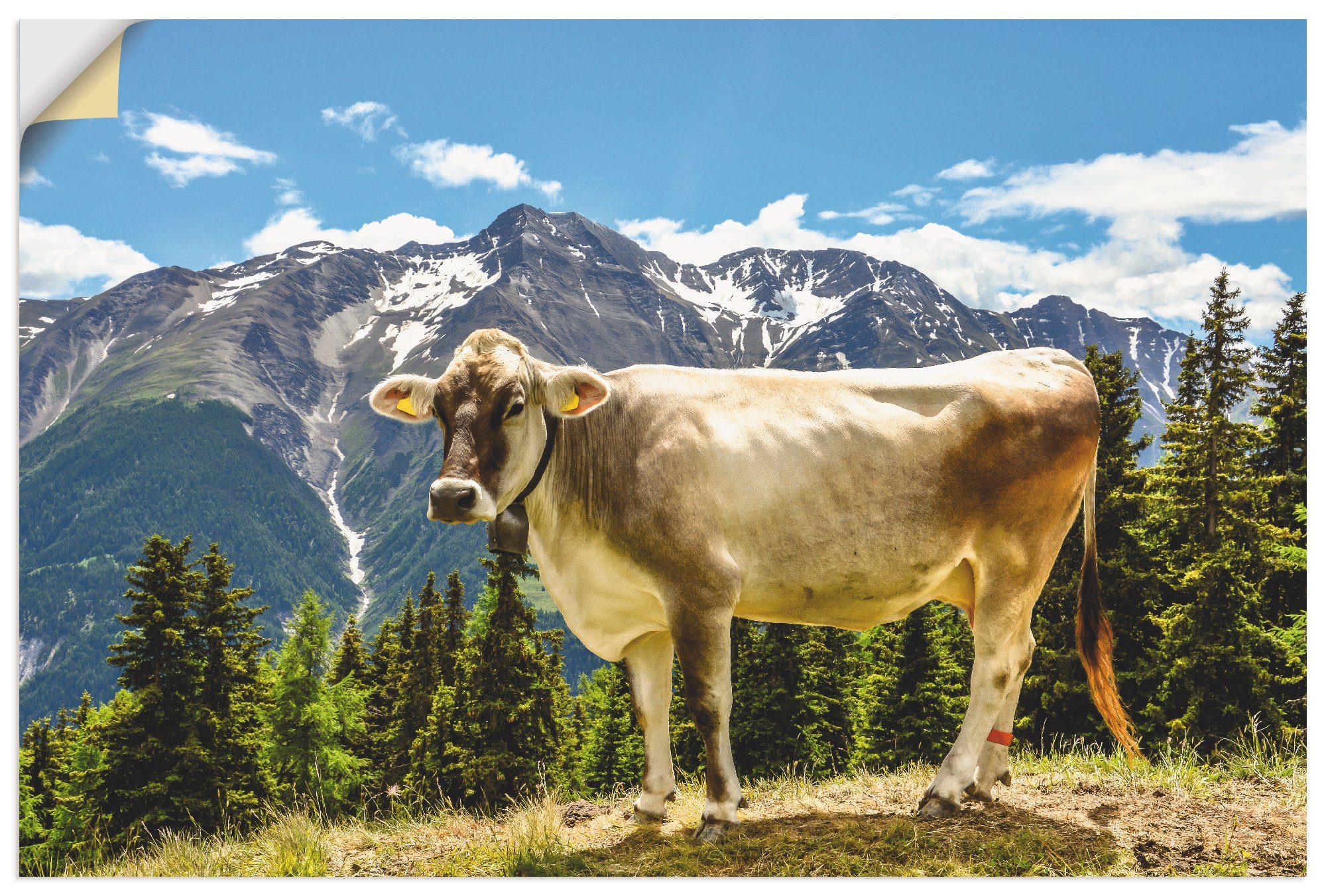 Artland artprint Bergkuh in den Alpen im Sommer