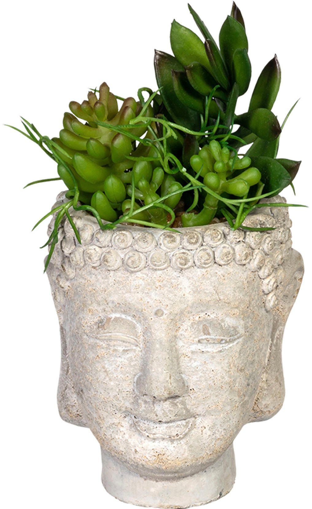 Creativ green Kunst-potplanten Vetplanten-arrangement in pot van cement(2 stuks)