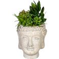 creativ green kunst-potplanten vetplanten-arrangement in pot van cement, set van 2 groen