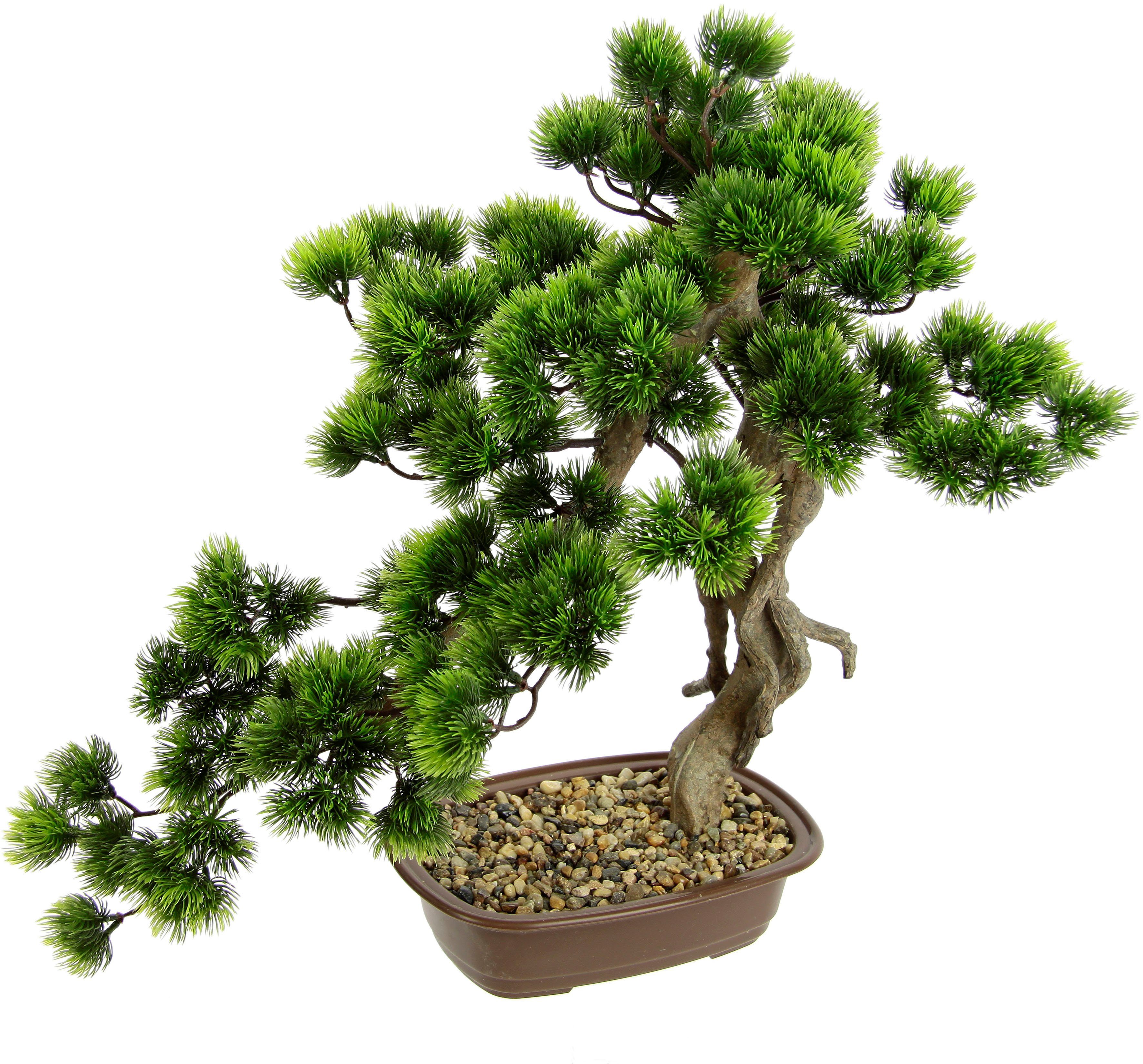I.GE.A. Kunstplant Bonsai boom in schaal Exotische bomen, Zen-tuin (1 stuk)