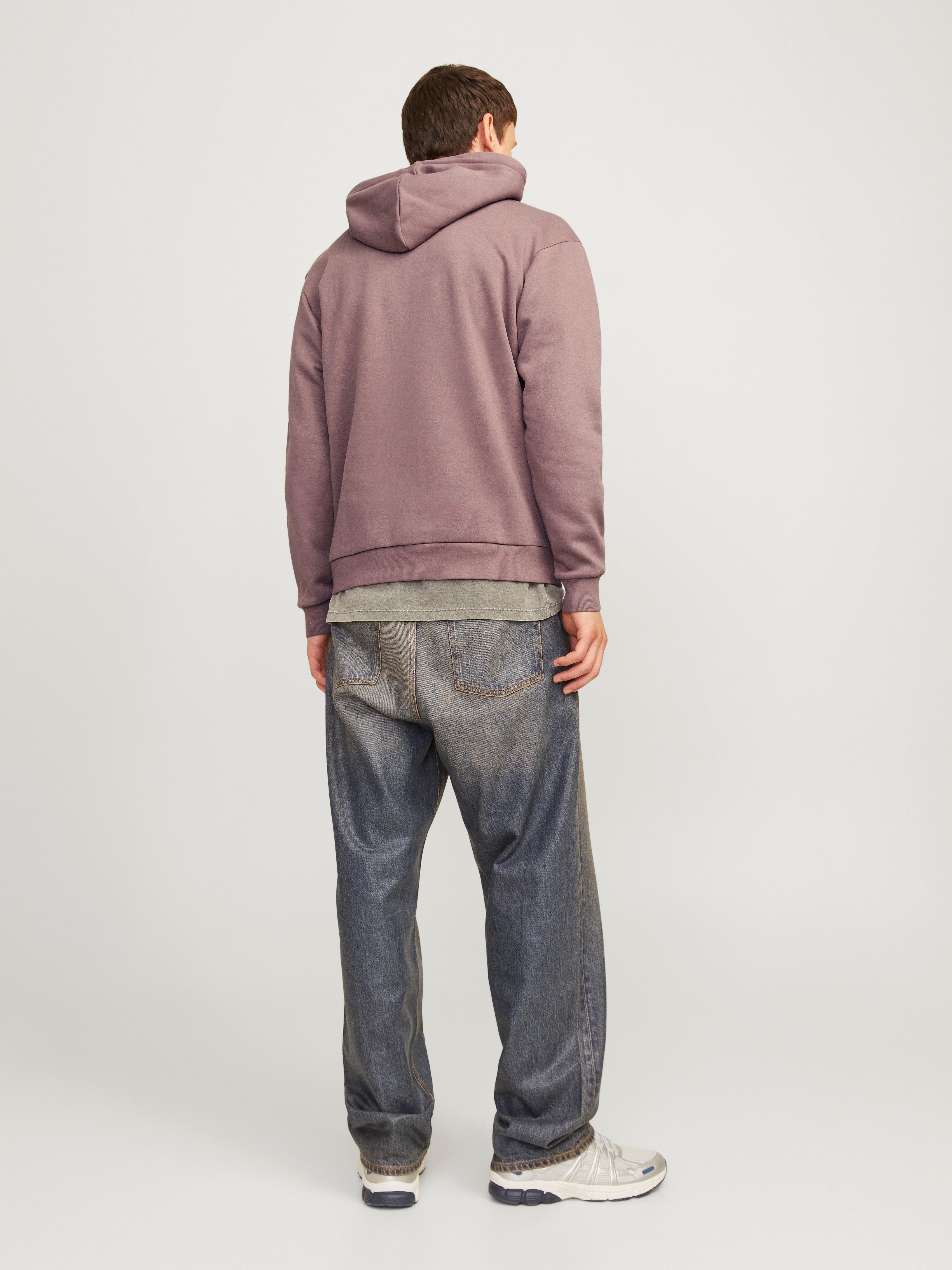 Jack & Jones Hoodie JJEBRADLEY SWEAT HOOD NOOS