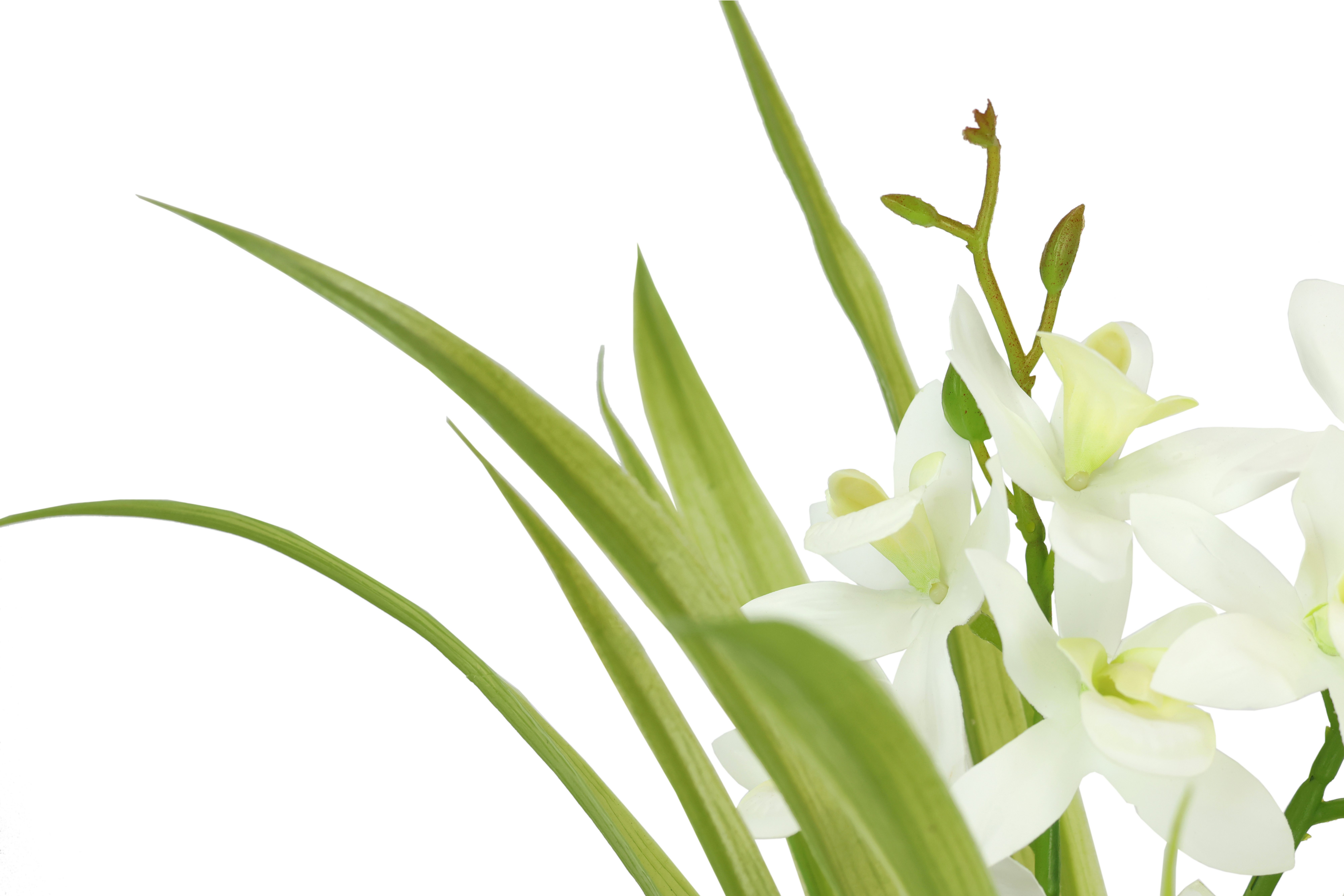 I.GE.A. Kunstbloem vlinderorchidee met keramische pot Met bladeren en luchtwortels, kunstorchidee Phalaenopsis, kunstplant (1 stuk)