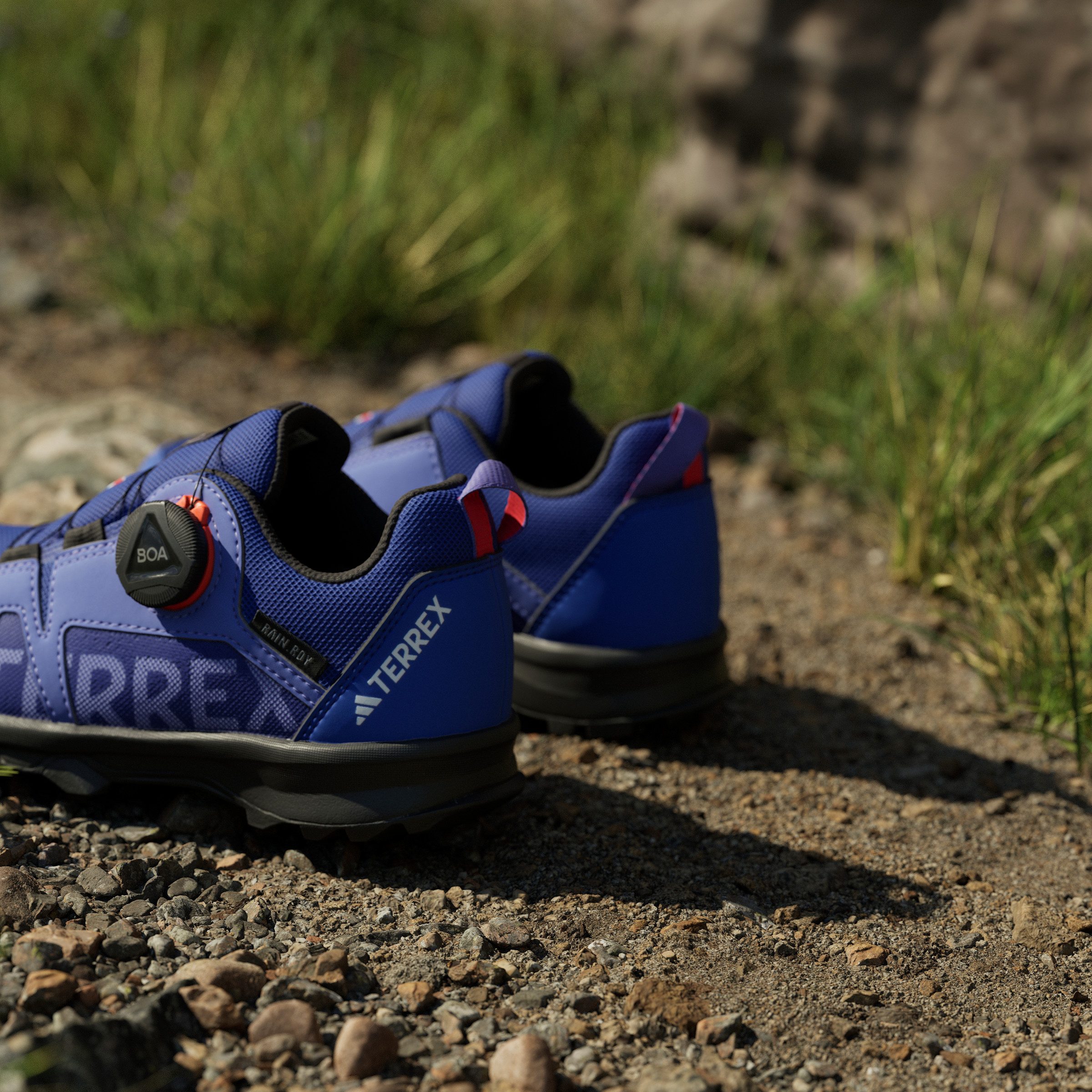 adidas TERREX Trailrunningschoenen TERREX AGRAVIC BOA RAIN.RDY TRAILRUNNING