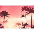 queence artprint op acrylglas palmen bij zonsondergang rood