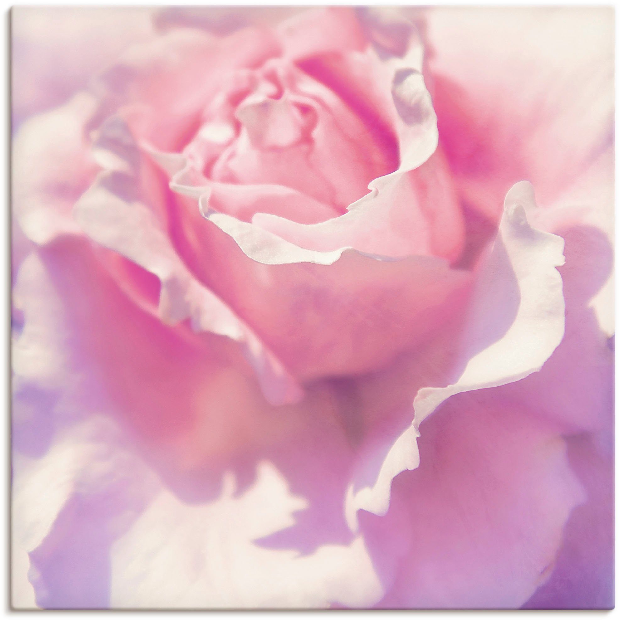 Artland artprint Rosa