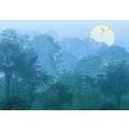 komar fotobehang vliestapete deep in the jungle 400 x 280 cm blauw
