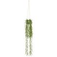 creativ green kunstplant tillandsia aeranthos in een hangende pot in hangpot van kunststof (1 stuk) groen