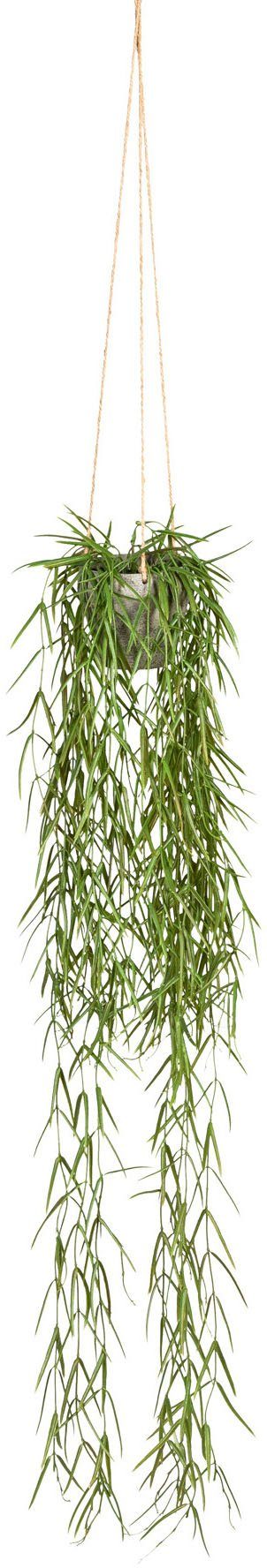 Creativ green Kunstplant Tillandsia aeranthos in een hangende pot in hangpot van kunststof