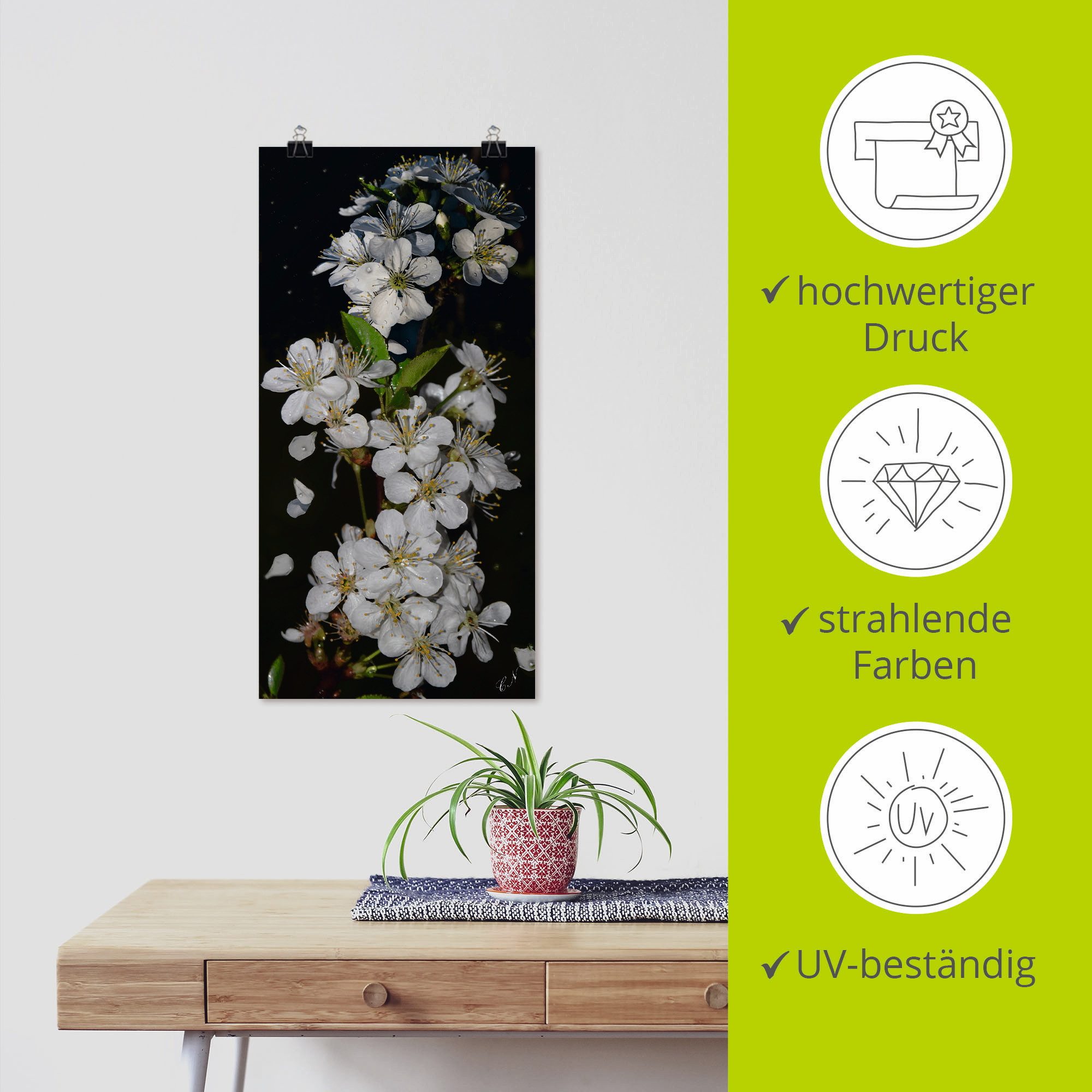 Artland Artprint Boombloesem als artprint op linnen, poster, muursticker in verschillende maten