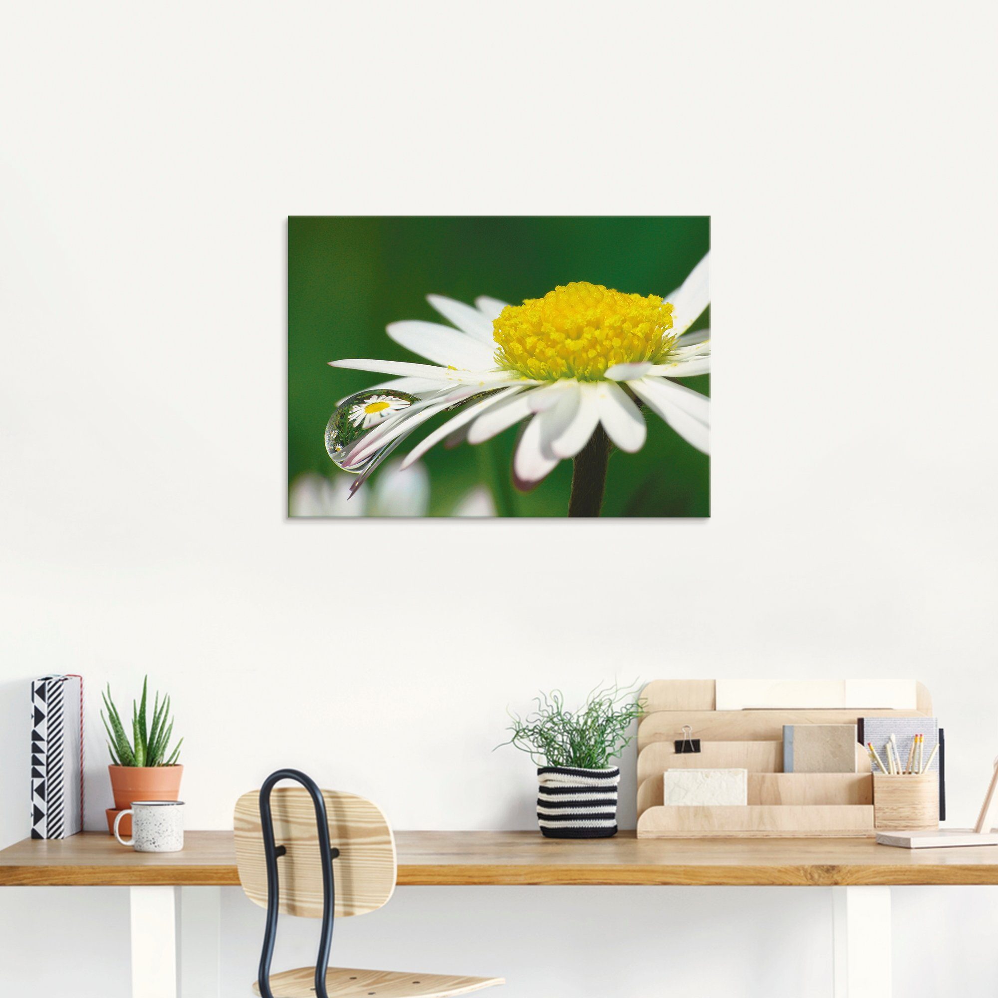 Artland Print op glas Madeliefje met waterdruppels